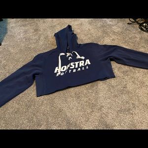 Long sleeve hofstra softball cropped hoodie!